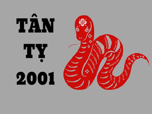 Tổng quan tuổi Tân Tỵ 2001