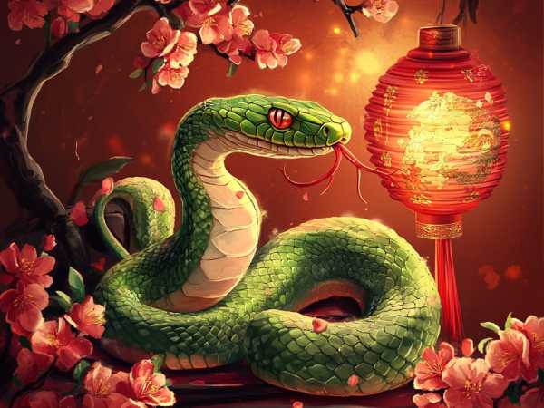 Tuổi Tỵ