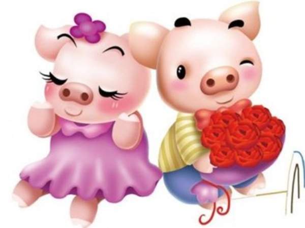 Tử vi tuổi Hợi hôm nay ngày 13/06/2026: Hên hay xui? Tử vi tuổi Hợi hôm nay ngày 13/06/2026: Hên hay xui?